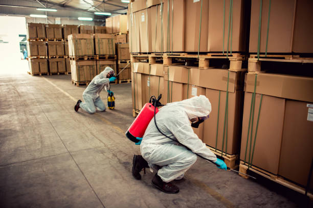 Best Rat Extermination Near Me  in Peru, IN