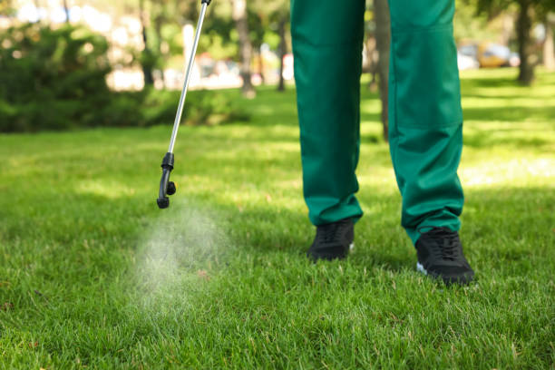 Best Termite Control Services  in Peru, IN