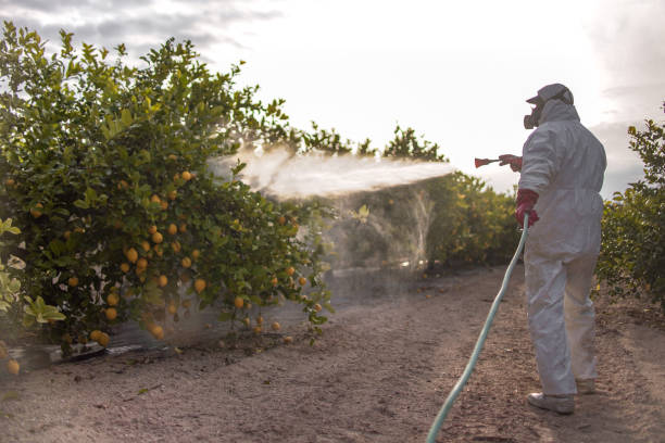 Best Pest Control for Businesses  in Peru, IN