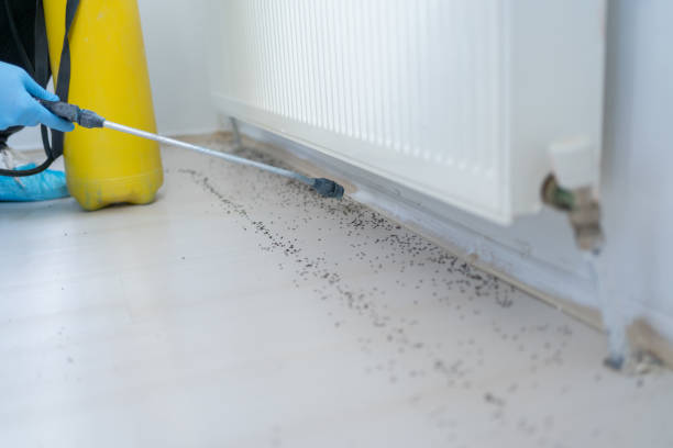 Best Pest Control Near Me  in Peru, IN